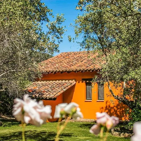 Dom wakacyjny Nice In With Wifi, 4 Bedrooms And Outdoor Swimming Pool *